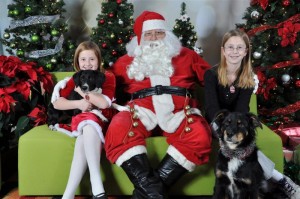 Santa Paws family